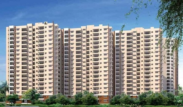 Featured Image of Recreational Zone