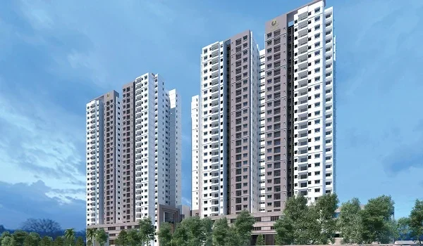 Featured Image of How Does The Purva Northern Lights Allotment Process Work After Booking