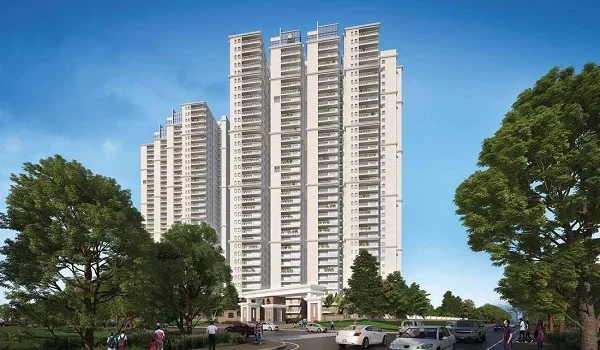 Featured Image of Purava Codename Da Vinci