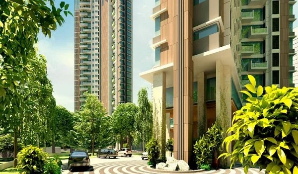 Featured Image of Purva Northern Lights Brochure