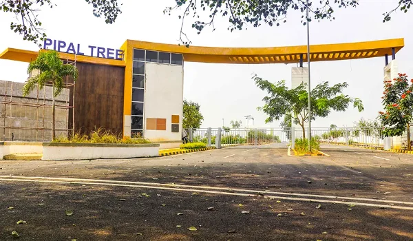 Featured Image of Salarpuria Sattva Pipal Tree