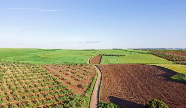 Featured Image of What Is The Price Of 1 Acre Of Land In India
