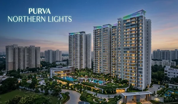 Featured Image of Why Brand Purva Adds a Premium to Your Purva Northern Lights Purchase