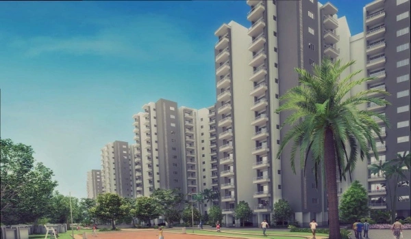 Featured Image of Purva 270