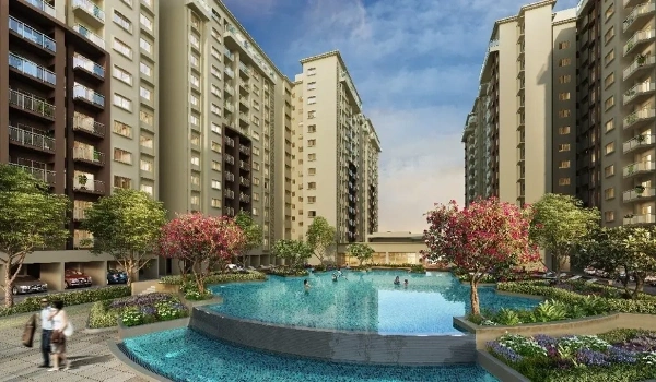 Featured Image of Purva Northern Lights Buyers Guide To Negotiation