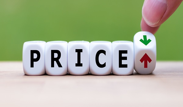 Featured Image of Purva Northern Lights Price