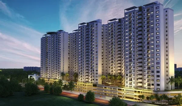 Featured Image of Purva Sunflower